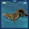 Mô hình đồ chơi Động Vật Cá Sấu Nước Mặn ANIA AS-32 ( Saltwater Crocodile ) TAKARA TOMY