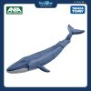 Mô hình đồ chơi Động Vật Cá Voi Xanh ANIA AL-23 Blue Whale ( Floating Ver ) TAKARA TOMY