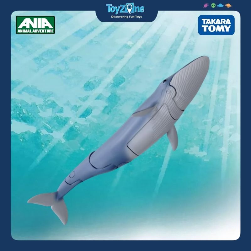  Mô hình đồ chơi Động Vật Cá Voi Xanh ANIA AL-23 Blue Whale ( Floating Ver ) TAKARA TOMY 