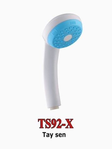 TAY SEN TS92-X 