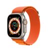 applewatchultra49mmltealpineloopvientitannhapkhaunguyensealchuaactive