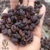 Trà Cascara Sơn La