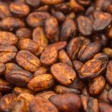 Decaf Honey Robusta