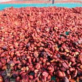 Flavor Robusta