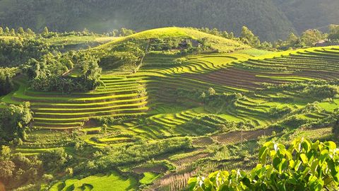 Tour Hà Nội - Sapa - Lào Cai 3N2Đ: Thành phố trên mây đẹp đến ảo diệu