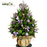 Cây thông từ nhánh sơn tùng tươi (tone tím)