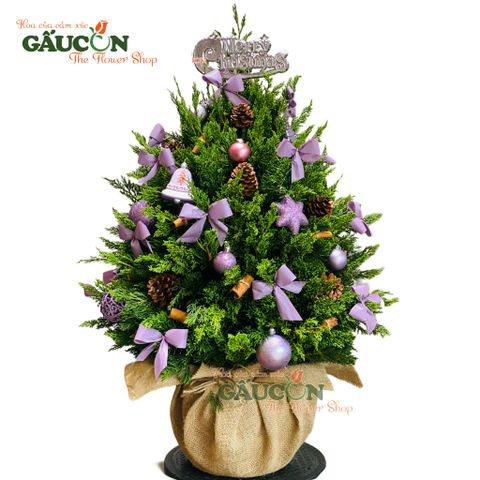 Cây thông từ nhánh sơn tùng tươi (tone tím)