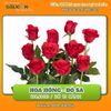 Hoa hồng đỏ sa (bó 10 cành)