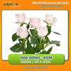 Hoa hồng kem (bó 5 cành)