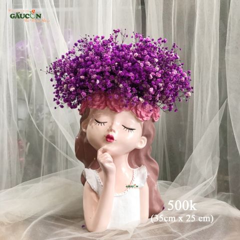 Cô gái babi tím (hoa khô)