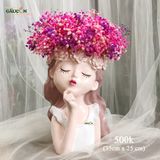 Cô gái babi hồng tím (hoa khô)