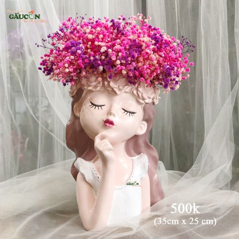 Cô gái babi hồng tím (hoa khô)