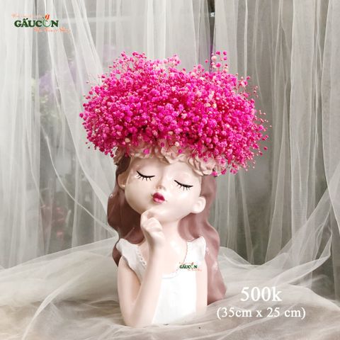 Cô gái babi hồng đậm (hoa khô)