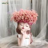 Cô gái babi hồng pastel (hoa khô)