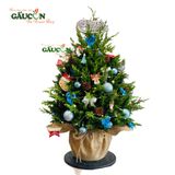 Cây thông từ nhánh sơn tùng tươi (xanh dương)