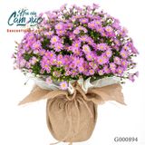 Yêu Thương - G000894