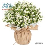 Yêu Thương - G000914