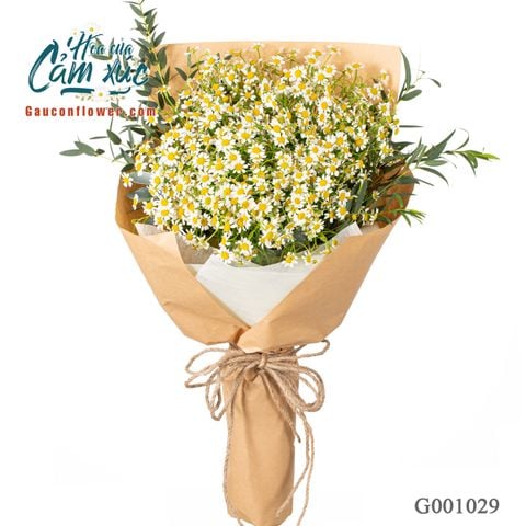 Hương Đồng Nội - G001029