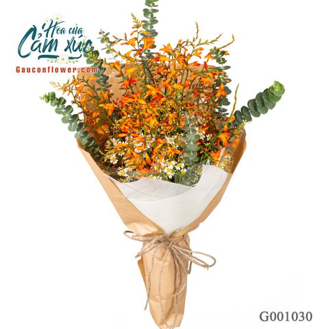 Hương Đồng Nội - G001030