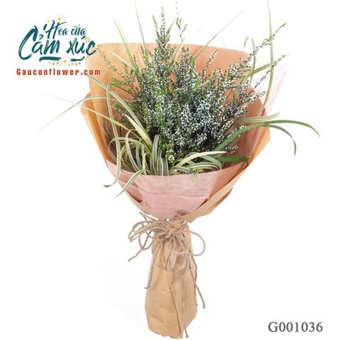 Hương Đồng Nội - G001036