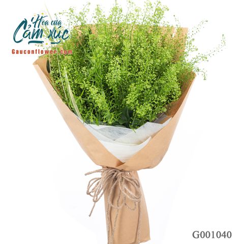 Hương Đồng Nội - G001040