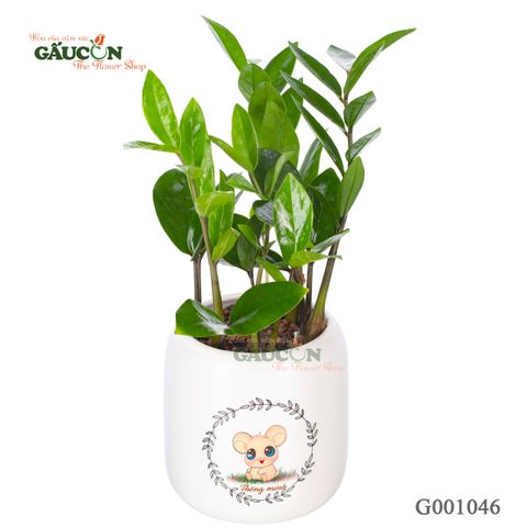 Kim Tiền - Tuổi Tý - G001046