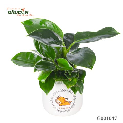 Đế Vương - Tuổi Sửu - G001047