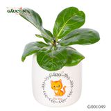 Bàng Singapore - Tuổi Mão - G001049
