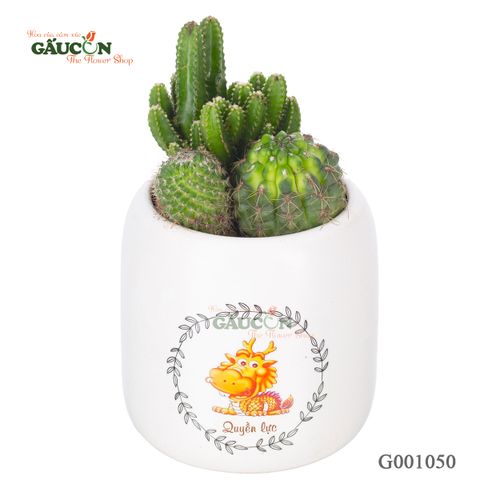 Xương Rồng - Tuổi Thìn - G001050