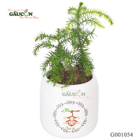 Tùng Bồng Lai - Tuổi Thân - G001054