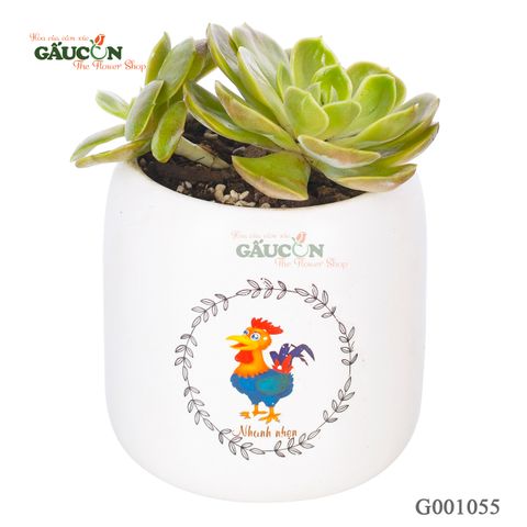 Sen Đá - Tuổi Dậu - G001055