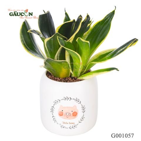 Lưỡi Hổ - Tuổi Hợi - G001057