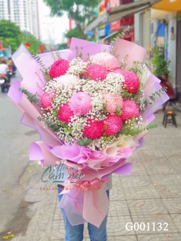 Cúc Mẫu Đơn - G001132