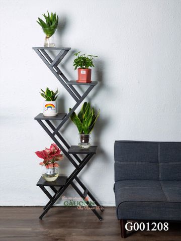 Combo kệ - cây xanh G001208