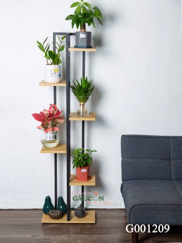 Combo kệ - cây xanh G001209