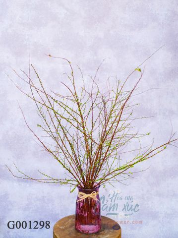 Tuyết mai size bình hồng 20 cm x 11 cm G001298