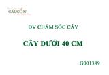 DV Chăm sóc cây G001389