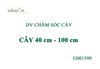 DV Chăm sóc cây G001390