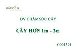 DV Chăm sóc cây G001391