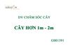 DV Chăm sóc cây G001391