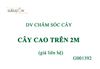DV Chăm sóc cây G001392
