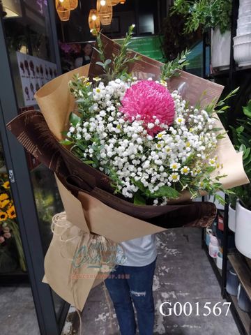 Cúc mẫu đơn G001567