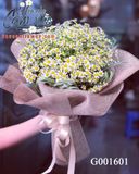 Hoa cúc tana G001601