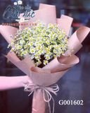 Hoa cúc tana G001602