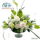 Hoa Hội Nghị - G001663