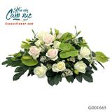 Hoa Hội Nghị - G001665