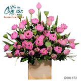 Hoa sen G001672