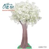 Kệ chúc mừng G001735