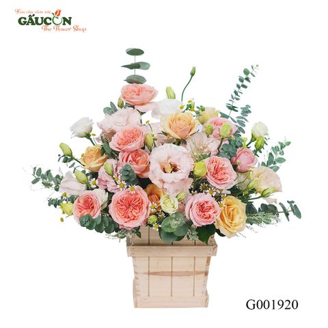 G001920