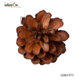 Quả thông khô  G001973